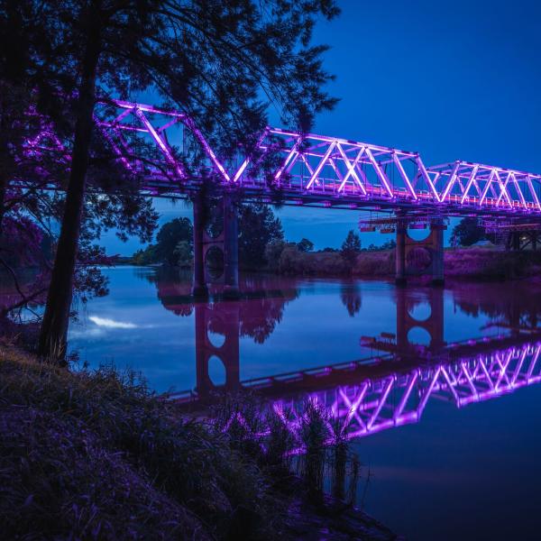 Morpeth Bridge lit purple