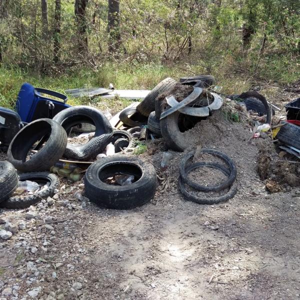 Illegal dumping in Maitland