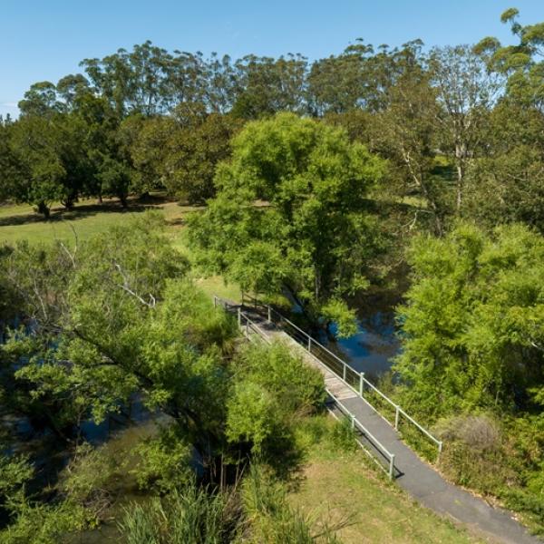 Paths and bridge