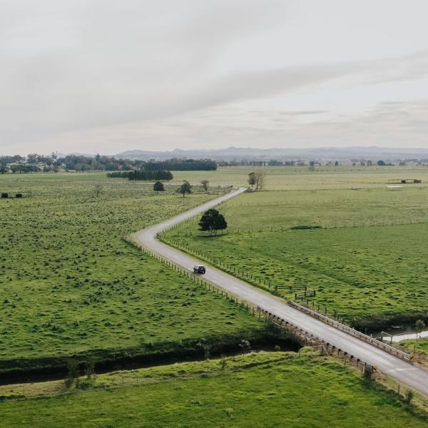 A road through farmland in Maitland