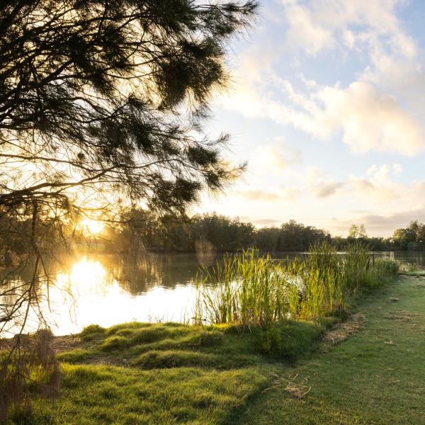 Telarah Lagoon