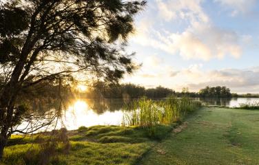 Telarah Lagoon