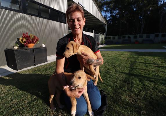 Maitland Animal Management staff with two puppies