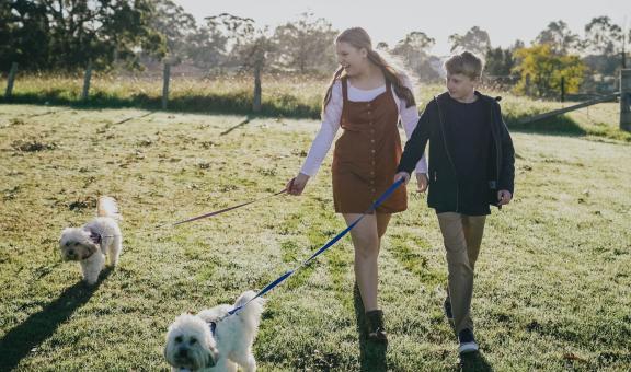 A boy and girl walking their dogs