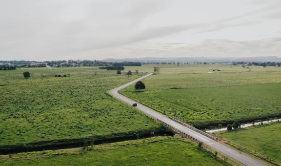 A road through farmland in Maitland