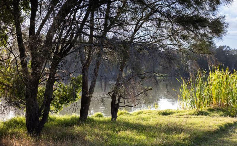 Telarah Lagoon