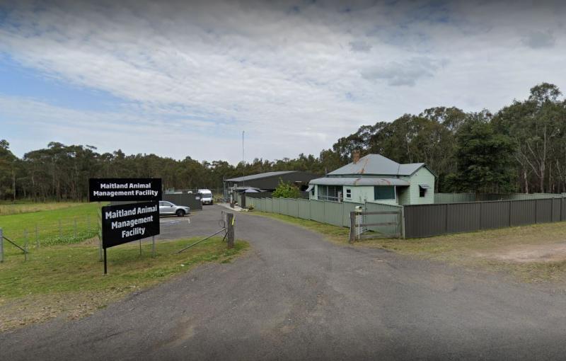 Maitland Animal Management Facility