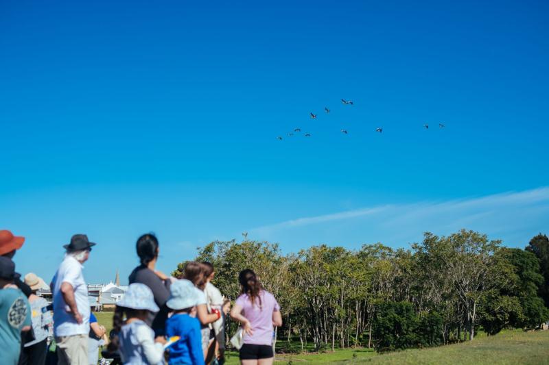 A group of birdwatchers observing a flock of birds.