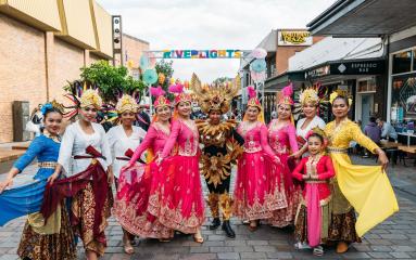 A group of performers at Maitland Riverlights 2024.