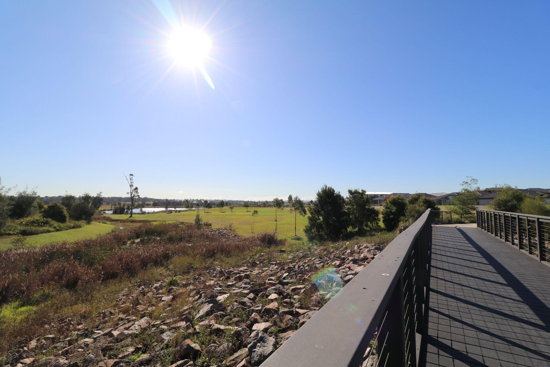 Walkway at Dragonfly Reserve