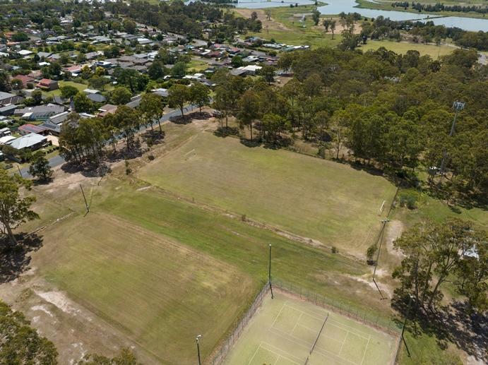 Aerial view of park