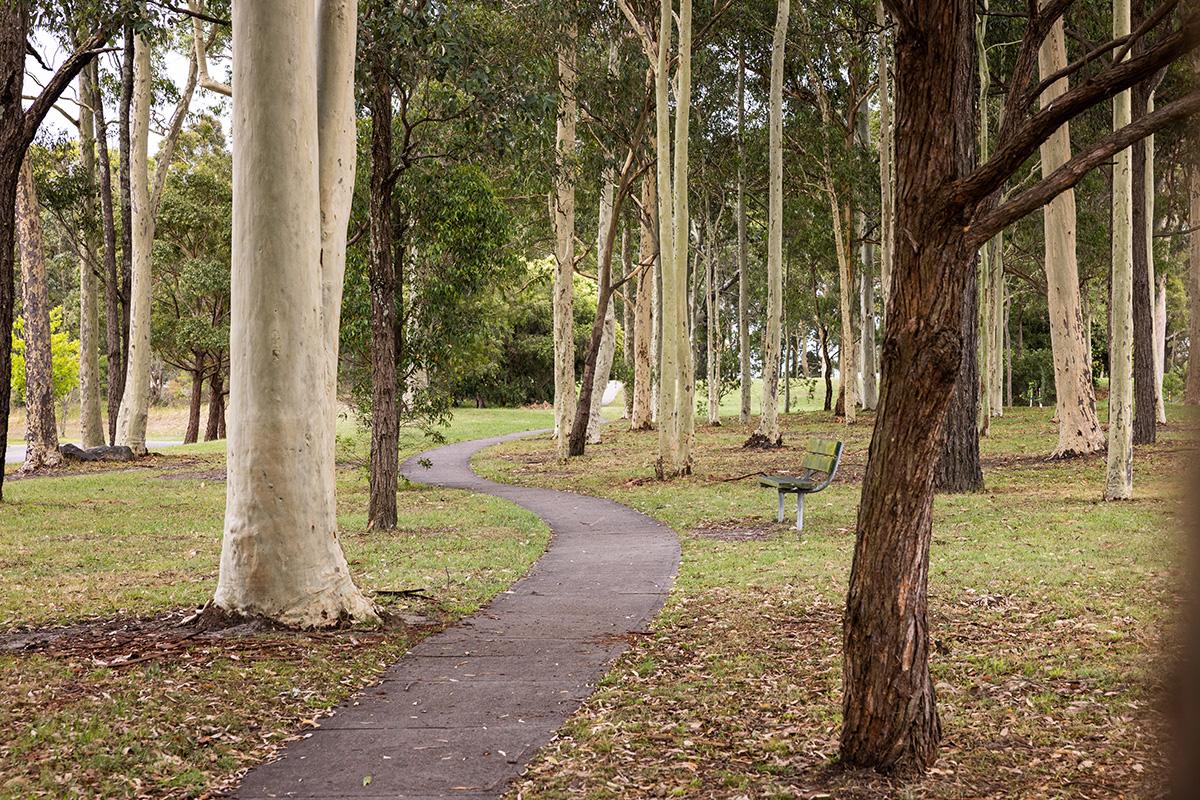 Footpaths and seats