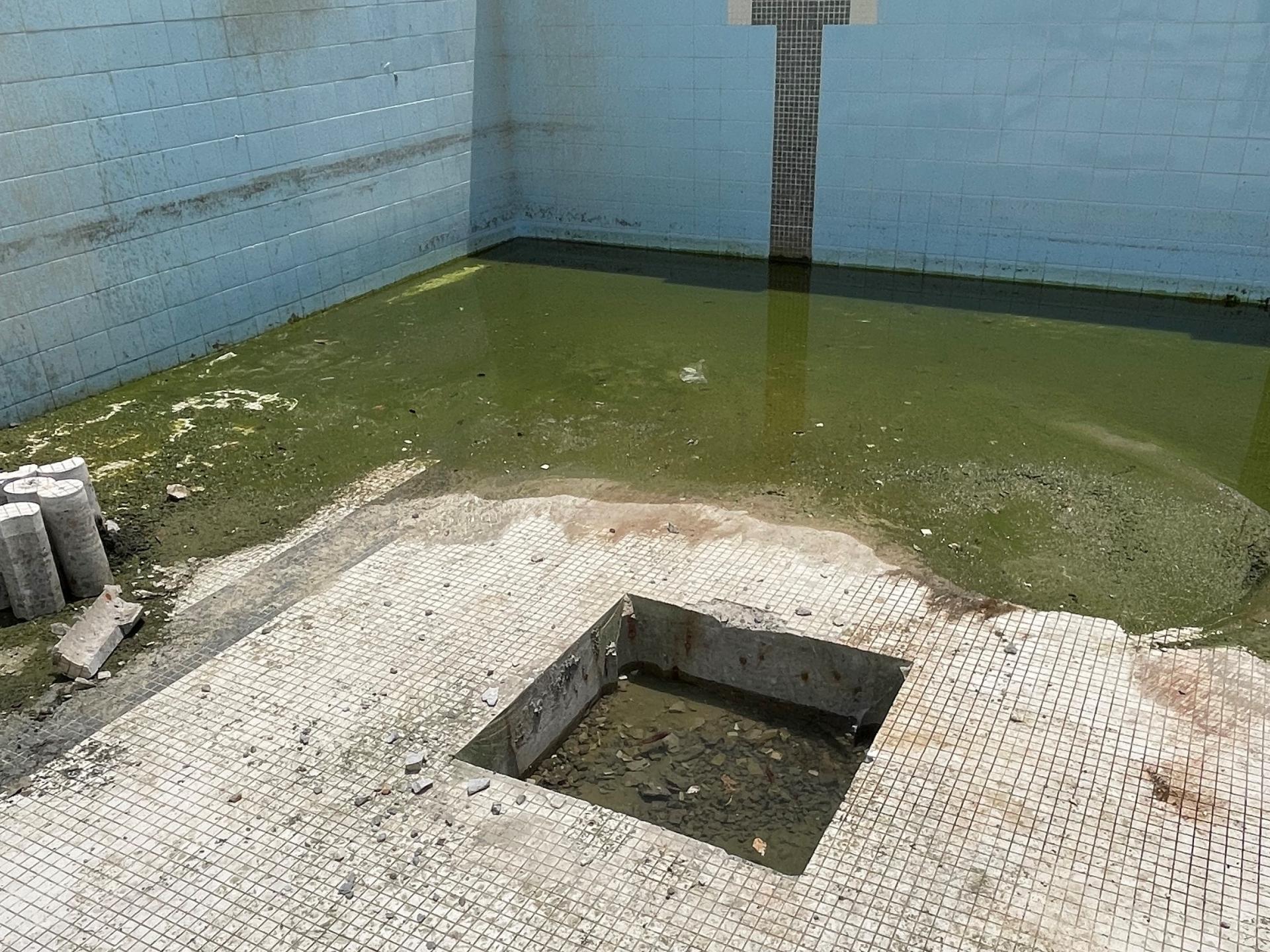 The bottom of the pool. Taken late 2022. 